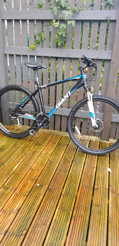 gumtree giant mountain bike